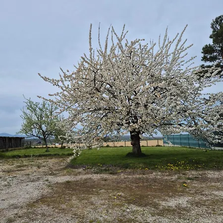 Chalet Loft Touristique 3 étoiles *
